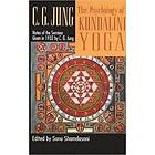 C G Jung, Sonu Shamdasani: The Psychology of Kundalini Yoga