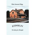 Mats Jansson Hägg: Stinsliv