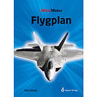 Mari Schuh: Flygplan