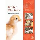 Andy Butterworth, Xavier Manteca: Broiler Chickens Welfare in Practice