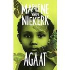 Marlene Van Niekerk: Agaat