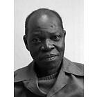 Amos Tutuola: Palmvindrinkaren