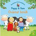 Heather Amery, Stephen Cartwright: Oväntat besök