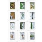 Lisa Jonasson: Rotpost