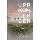 Johan Rudengren: Uppkomlingen
