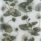 Mimou Lotus Lake WP2402