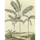 Eijffinger Oasis väggbild Palm Portrait 317406