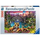 Ravensburger Tiger in paradise Lagune Pussel 3000 bitar