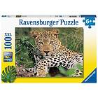 Ravensburger Exotic Animals Selfie Puslespill 100 brikker