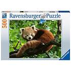 RED Panda Puslespill 500 brikker Ravensburger