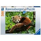 RED Panda Pussel 500 bitar Ravensburger