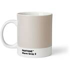 Pantone Mug. Warm Gray 2