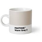 Pantone Espresso Cup. Warm Gray 2