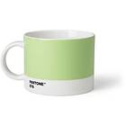 Pantone Tea Cup. Light Green 578