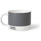Pantone Tea Cup. Cool Gray 9