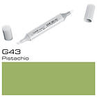 Copic Sketch G43 Pistachio