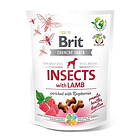 Brit Care Crunchy Snack Insects Lamb 200g