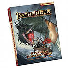 Pocket Pathfinder RPG: Advanced Player's Guide Edition