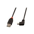 Lindy USB-kabel USB till mini-USB typ B 2 m