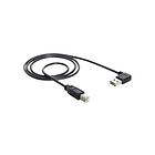 DeLock EASY-USB USB-kabel USB Typ B till USB 2 m