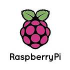 Raspberry Pi Compute Module 4 WiFi 2GB RAM 8GB