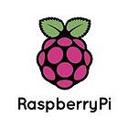 Raspberry Pi Compute Module 4 2GB RAM 0GB