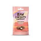 Chocolate The Raw Co Co. Mandlar m. raw choklad eko 28g