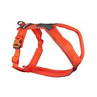 Non-Stop Dogwear Line Harness 5,0, Orange, 1