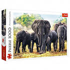 Trefl Pussel: African Elephants 1000 Bitar