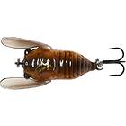 Savage Gear SG 3D Cicada 3,3 cm Brown