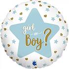 Ballongkungen Gender Reveal, Babyshower Ballong