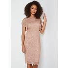 Angeleye Scallop Sequin Midi Dress