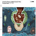 Antoine Pierre Suspended Vinyl