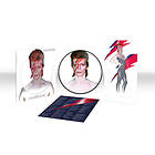 David Bowie Aladdin Sane Picture Disc Vinyl