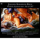 Leonhardt Secular Cantatas (Leonhardt Cafe Zimmermann Frimmer) CD