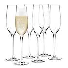 Holmegaard Cabernet Champagneglas 29 cl 6-pack