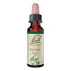 Bach s Blomsterterapi Valnöt (Walnut) 10ml H706835