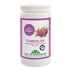 Natur-Drogeriet Cardulon 500 mg 90 st H12943