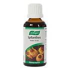 A.Vogel Spilanthes 50ml