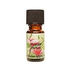 Unique Products Hyacinth 10ml H9950
