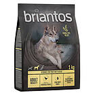 Briantos Grain Free Adult Mobility Kyckling & potatis 1kg