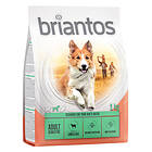 Karitsa Briantos Adult Sensitive & ris Ekonomipack: 4 x 1kg