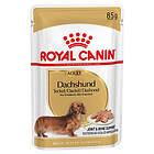 Royal Canin Breed 48 85g x Dachshund 85G
