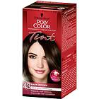 Schwarzkopf Poly Color Tint Hårfärg 43 Dark Brown