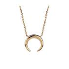 Vidal Damhalsband & X7408539A