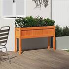 vidaXL Odlingslådor med ben vaxbrun 110x31x70 cm massiv furu 837568