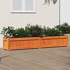 vidaXL Odlingslåda vaxbrun 180x31x31 cm massiv furu 837498