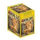 Panini Animal 2022 Låda med 50 fickor