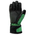 Iguana Richer Gloves (Herre)