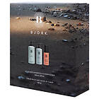 Björk Ag Hair Care Set